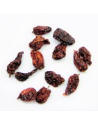 Satvik world Hottest Chilli Bhut Jolokia Chilli Dried (Whole) Ghost Pepper Chilli 25g, Pungency 4,50,000 SHU from India